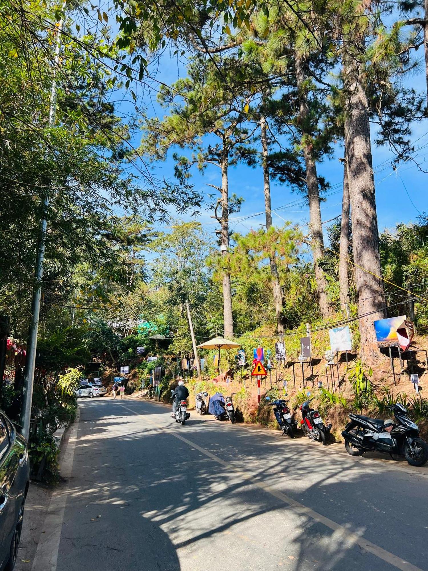 Nature Hotel - Dalat 3 Luaran gambar